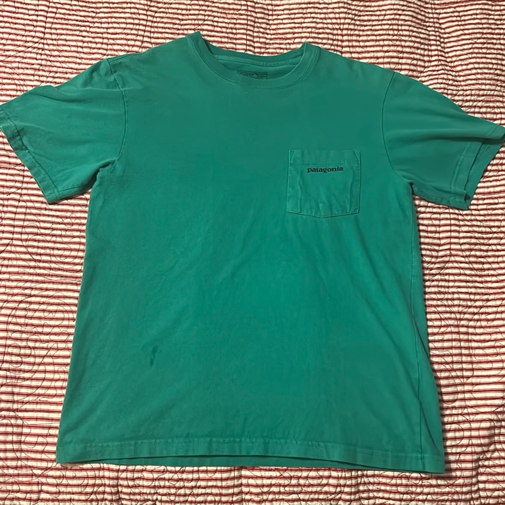 Patagonia pocket tee